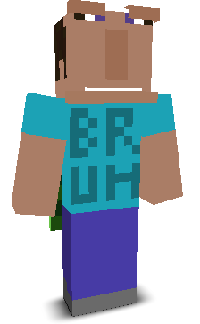 User's Minecraft appearance