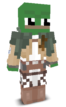 User's Minecraft appearance