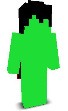 User's Minecraft appearance