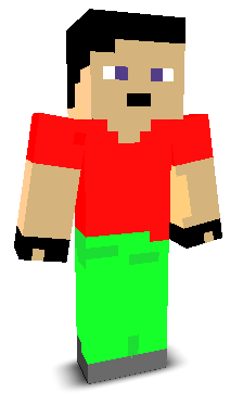 User's Minecraft appearance