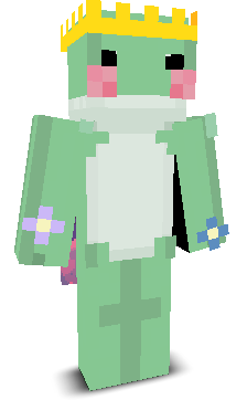 User's Minecraft appearance
