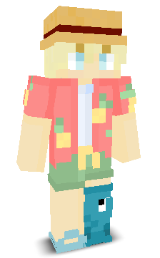 User's Minecraft appearance