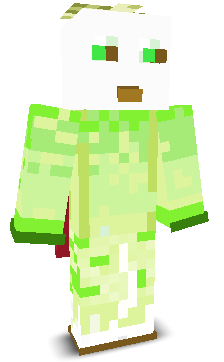 User's Minecraft appearance