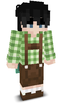 User's Minecraft appearance