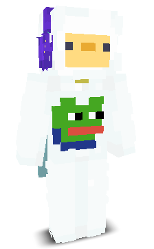 User's Minecraft appearance
