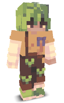 User's Minecraft appearance