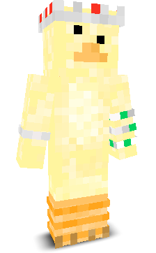 User's Minecraft appearance