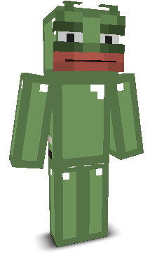 User's Minecraft appearance