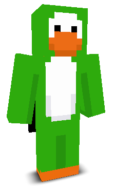 User's Minecraft appearance