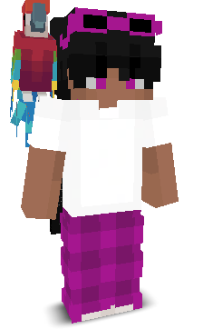 User's Minecraft appearance