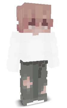 User's Minecraft appearance