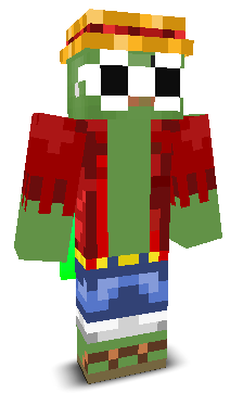 User's Minecraft appearance