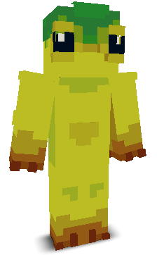 User's Minecraft appearance