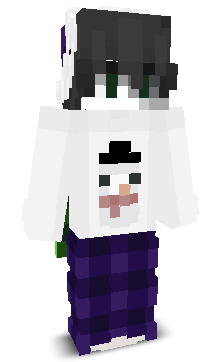 User's Minecraft appearance