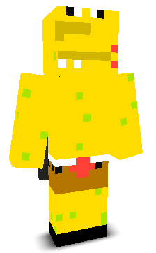User's Minecraft appearance