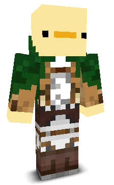 User's Minecraft appearance