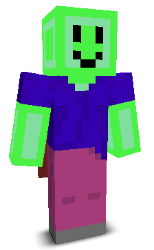User's Minecraft appearance