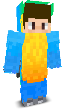 User's Minecraft appearance