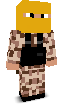 User's Minecraft appearance