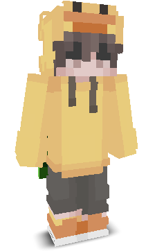 User's Minecraft appearance