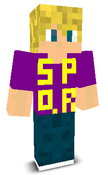 User's Minecraft appearance