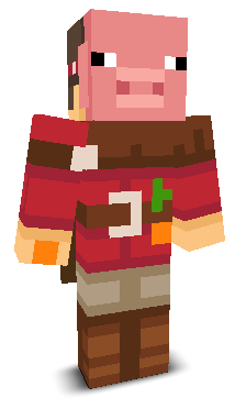 User's Minecraft appearance
