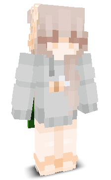 User's Minecraft appearance
