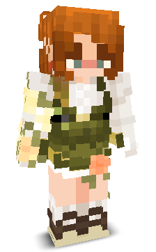 User's Minecraft appearance