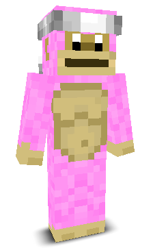 User's Minecraft appearance