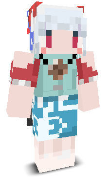 User's Minecraft appearance