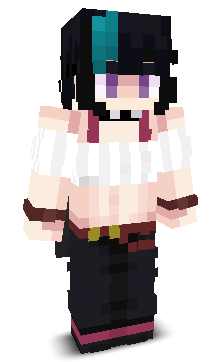 User's Minecraft appearance