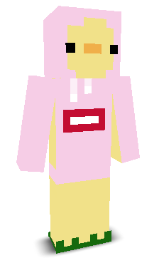 User's Minecraft appearance