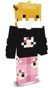 User's Minecraft appearance