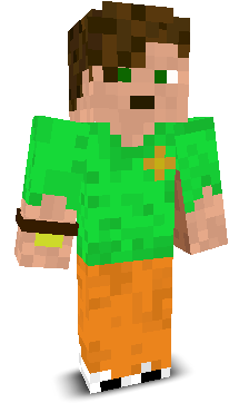 User's Minecraft appearance