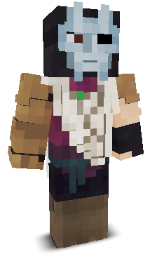 User's Minecraft appearance