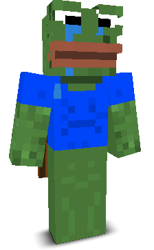 User's Minecraft appearance