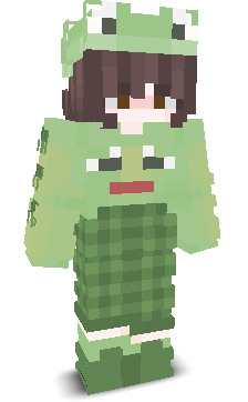 User's Minecraft appearance