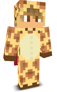 User's Minecraft appearance