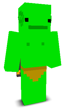 User's Minecraft appearance