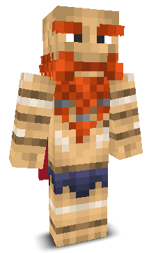 User's Minecraft appearance