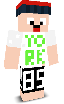 User's Minecraft appearance
