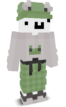 User's Minecraft appearance