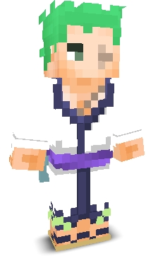 User's Minecraft appearance