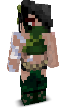 User's Minecraft appearance