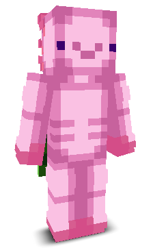 User's Minecraft appearance