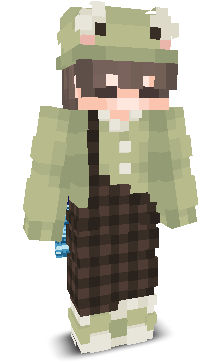 User's Minecraft appearance