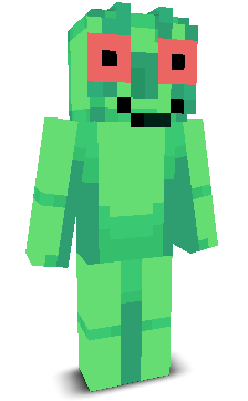 User's Minecraft appearance