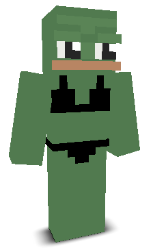 User's Minecraft appearance
