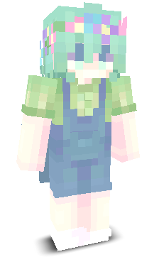 User's Minecraft appearance