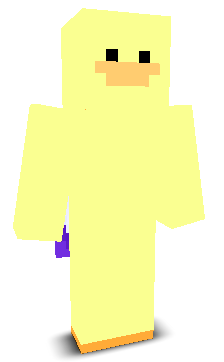 User's Minecraft appearance
